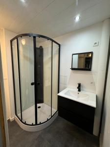 a bathroom with a shower and a sink at Grand studio tout confort sur cour in Champagnole +21 photos