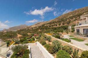 a garden with a mountain in the background at Diamond Star Hotel in Falasarna