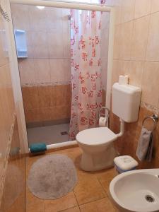 ein Badezimmer mit Toilette und Dusche in der Unterkunft Villa Zlata Praha in Hévíz + 32 Fotos