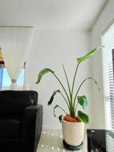 Area soggiorno di Better than Home - NEW Lake View