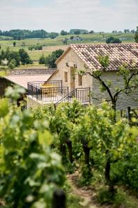 ein altes Steinhaus mitten in einem Weinberg in der Unterkunft Gîte au cœur des vignes in Montagne