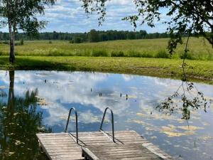Fotografie z fotogalerie ubytování Restu Forest Saunahouse v destinaci Otepää + 5 fotografií