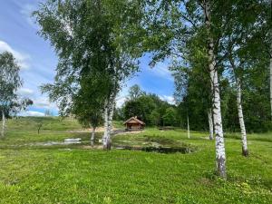 Fotografie z fotogalerie ubytování Restu Forest Saunahouse v destinaci Otepää
