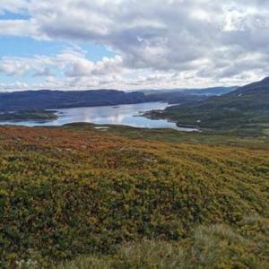 a view of a body of water in a field at Haukeli hotell leilighet in Haukeligrend +3 photos