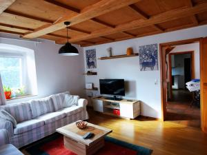 a living room with a couch and a tv at Alpenpanorama Hägelberg in Steinen