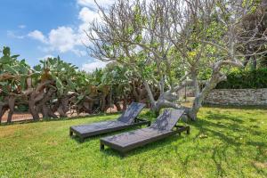 two lounge chairs in the grass next to a tree at La Porta Sul Mare - on the sea - Happy Rentals in Diso