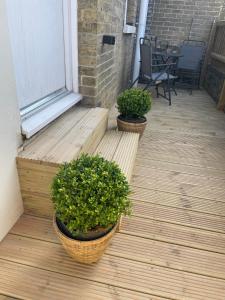 Stylish 1 Bedroom Flat in Heart of Cowes外面的花园