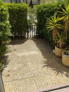 Un jardín con una puerta y algunas plantas y arbustos. en Le Regina Studio 5p mer parking, en Le Grau-du-Roi