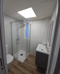 サン・ホセにあるAires del Cabo San Joséのシャワー、トイレ、洗面台を備えたバスルーム