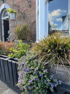 a display of flowers in front of a window at Kelston Guest House in Weymouth