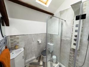 a bathroom with a shower and a toilet and a sink at The Stables in Llandysul +16 photos