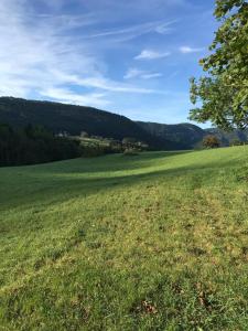 a large green field with a tree in the foreground at Le Méridoie in Septmoncel