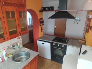 Kuchyň nebo kuchyňský kout v ubytování Apartmány v centru