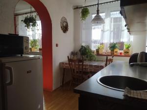 Kuchyň nebo kuchyňský kout v ubytování Apartmány v centru