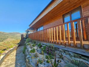 Una casa con plantas a un lado. en Quinta da Valdigueira, en Armamar