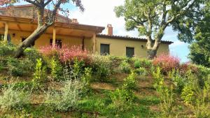 Agriturismo Sugheretello外面的花园