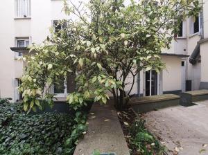 Zahrada ubytování Paris Montmartre, Mairie du 18e