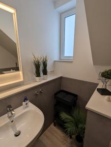a bathroom with a sink and a potted plant at Feeling in Hamm +41 photos