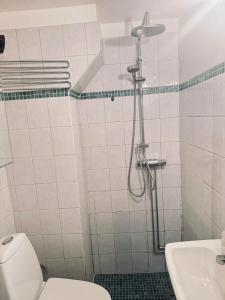 Ένα μπάνιο στο Perfect for your stay in Old Town of Stockholm