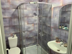 a bathroom with a shower and a toilet and a sink at ARGO Shekvetili in Shekhvetili