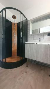 un bagno con doccia, lavandino e specchio di Charmante maison Girondine a La Rivière