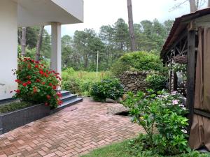 a garden with flowers and a brick patio at ARGO Shekvetili in Shekhvetili +20 photos