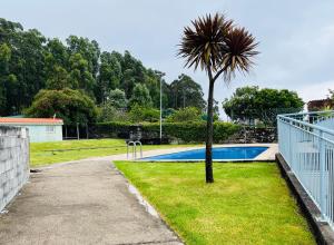 a palm tree sitting next to a swimming pool at AREA DA BARCA in Poio