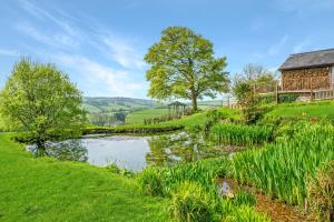 a pond in a field next to a barn at Dunkery Cottage Wheddon Cross in Minehead