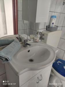 a bathroom with a white sink and a toilet at Apartman Nata in Zlarin