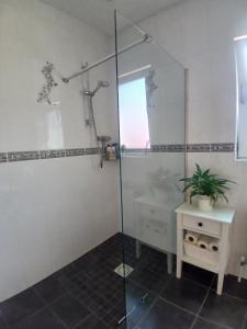 Koupelna v ubytování Tinnock B&B
