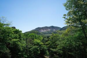 箱根町にあるAKNOT hakone 大涌谷を望むモダニズム建築 東京から90分の木々越しの山の景色