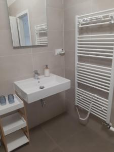 Koupelna v ubytování Apartmán Amálie