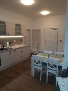 Kuchyň nebo kuchyňský kout v ubytování Apartmán Amálie