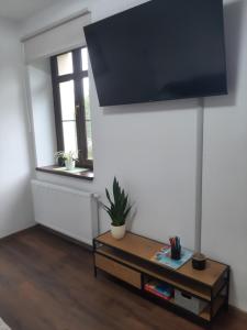 TV a/nebo společenská místnost v ubytování Apartmán Amálie
