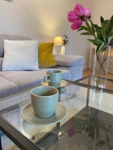 a living room with two cups on a glass table at Ferienwohnung Katharina in Mastershausen