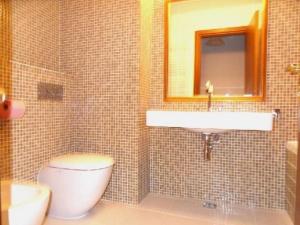 un bagno con lavandino, WC e specchio di Chamonix-Mont-Blanc a Chamonix-Mont-Blanc Altre 2 foto