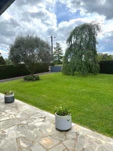 two white pots with flowers in them on a lawn at Les Tulipes in Antrain +3 photos