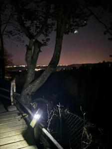 Príroda v okolí horskej chaty