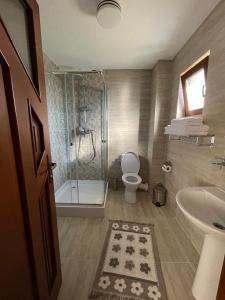 a bathroom with a shower and a toilet and a sink at Pensiunea Valea Muntelui in Bîrsana +43 photos