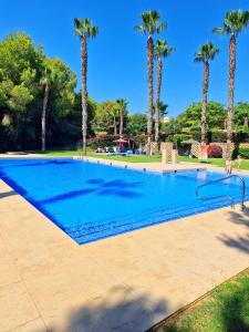 Una gran piscina con palmeras al fondo. en Always sunny apt PoolGolfBeach, en Alicante