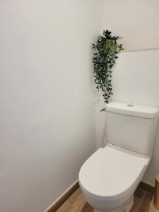- des toilettes blanches avec une plante au-dessus dans l'établissement Appartement cocon Royan plage, à Royan