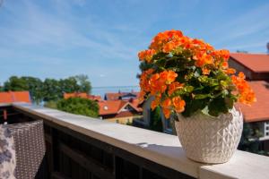 Gallery image of Austėja ir Guboja apartmentai in Juodkrantė
