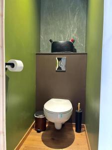 a bathroom with a toilet in a green room at La cabane tropicale in Pontorson
