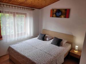 sypialnia z łóżkiem z 2 poduszkami w obiekcie Apartment Valbandon, Istia 3 w mieście Fondole