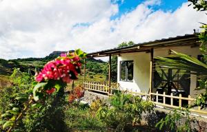 Zahrada ubytování Panoramic Paradise + 30 fotografií
