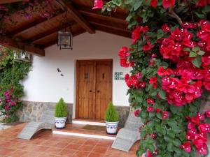 Ogród w obiekcie Bed & Breakfast | Guest House Casa Don Carlos
