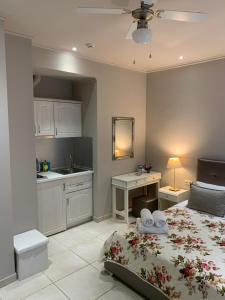 萨索斯luxury studios & apartments Athanasias的一间带床和书桌的卧室和厨房