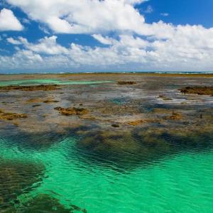 a large body of water with green water at Pousada Solar Dos Carneiros in Praia dos Carneiros