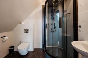 a bathroom with a shower and a toilet and a sink at Dom mazurski z basenem in Rydzewo