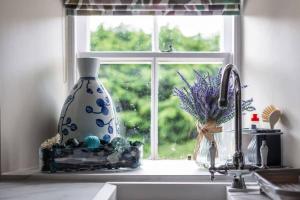 una finestra con un vaso appoggiato sul lavandino della cucina di Delightful Garden Upper Cottage in Oldhamstocks East Lothian a Oldhamstocks Altre 40 foto